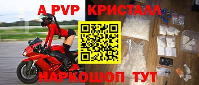 спиды Будённовск